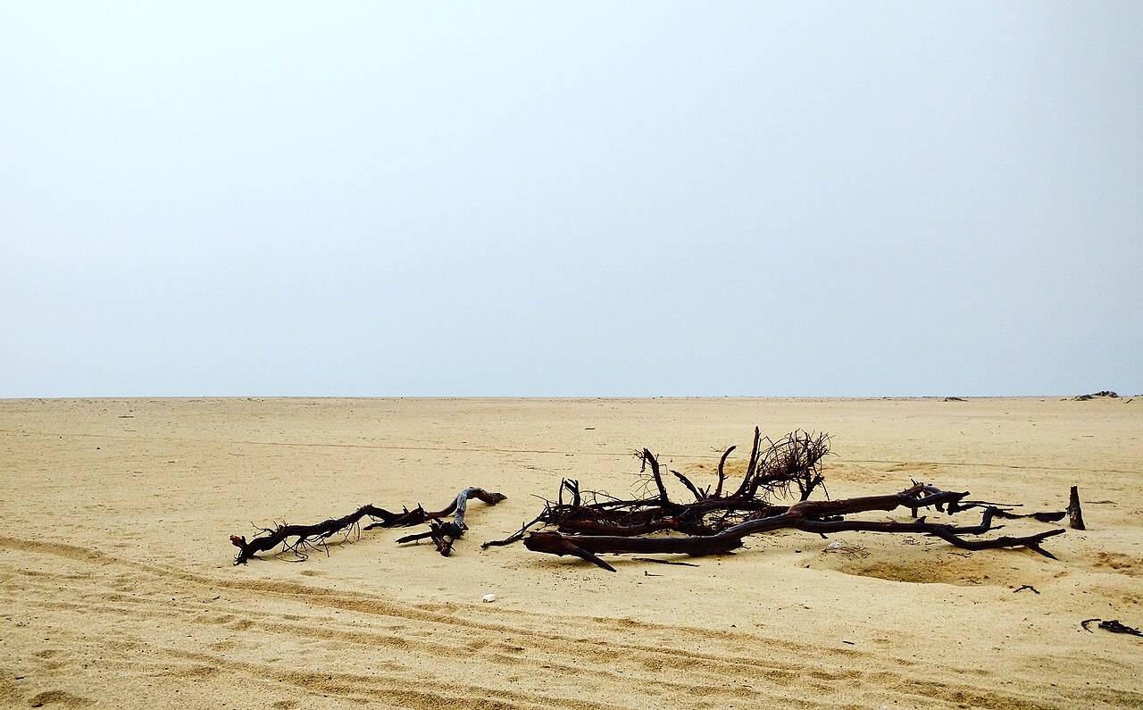 Dhanushkodi