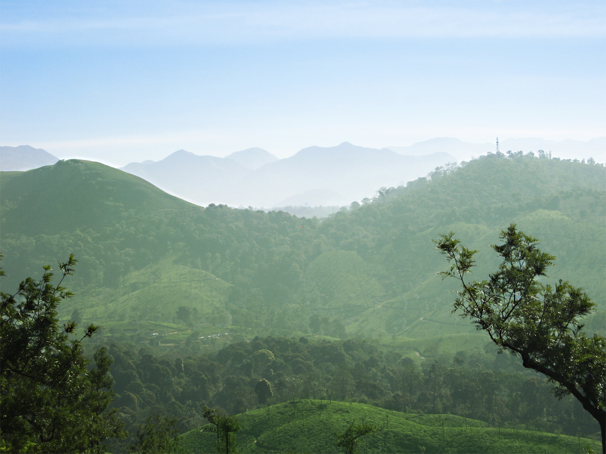 Valparai