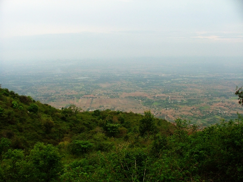 Yelagiri