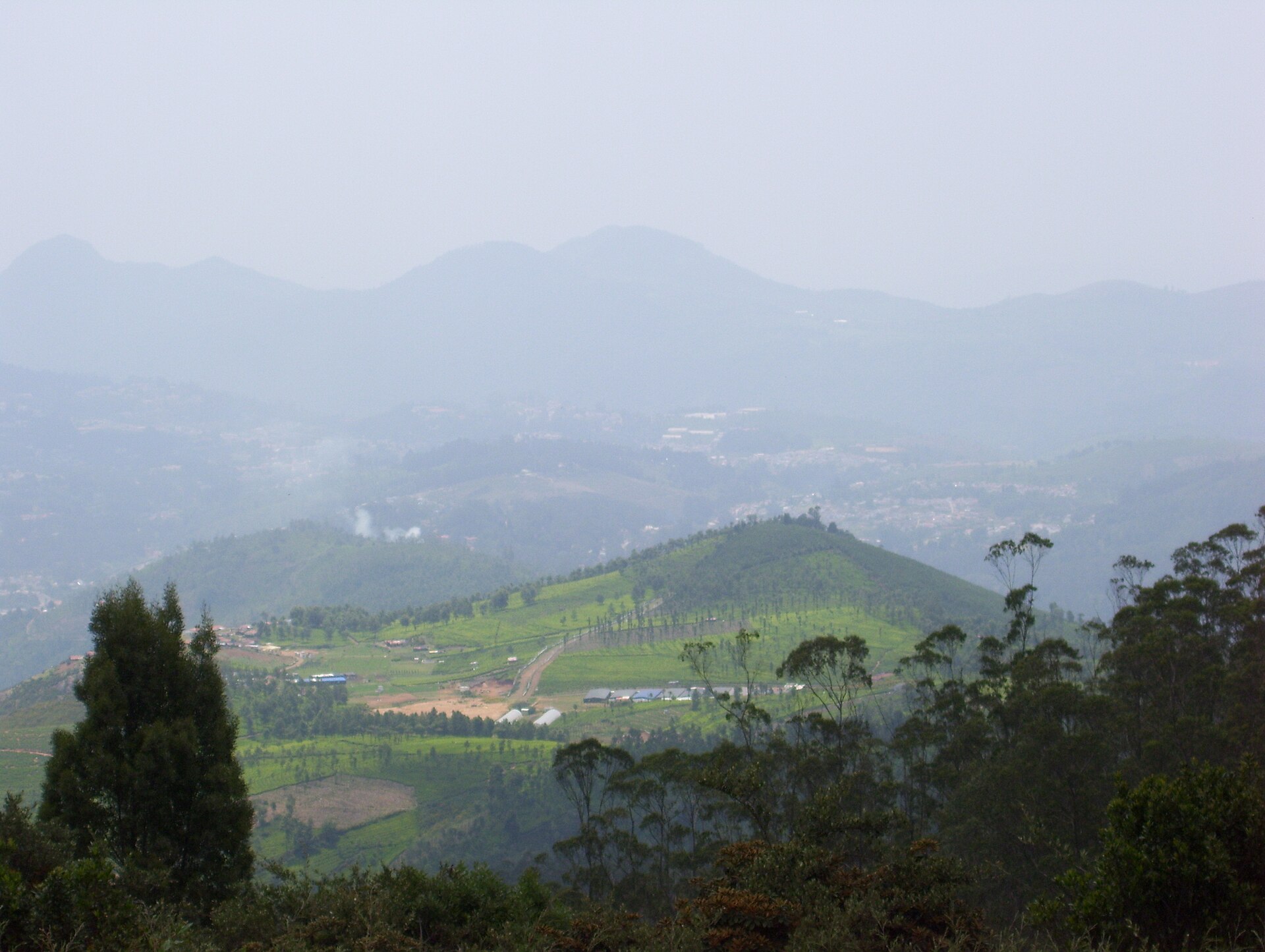 Ooty Hills and Tea Gardens Tamil Nadu